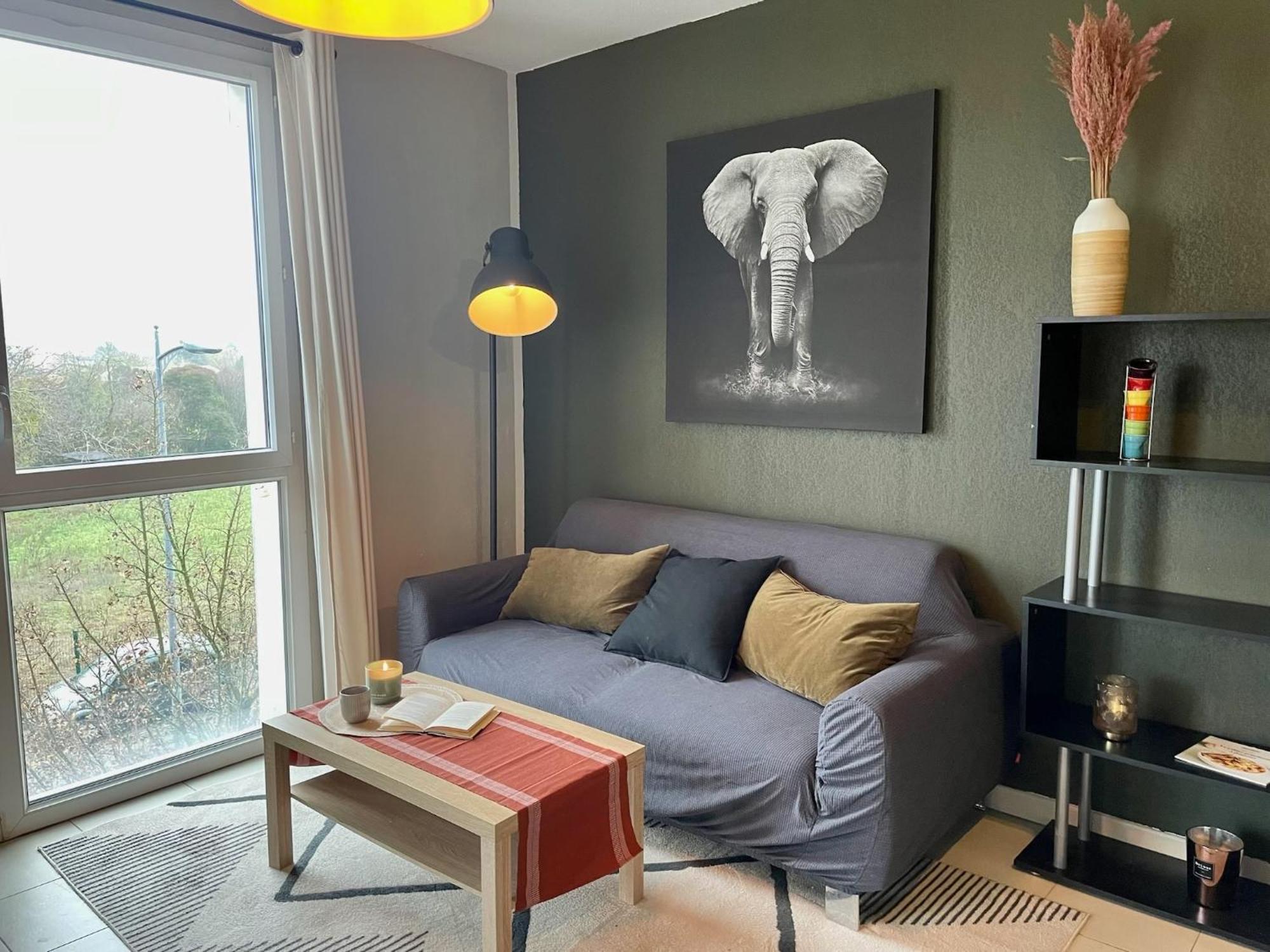 Le Colorado - Appartement Proche Airbus Colomiers Extérieur photo